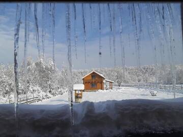 Фото номера Шале Шале Musketeers Cabin г. Порумбаку-де-Сус 51