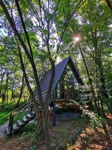 Фотографии Шале Porumbacu Treehouse г. Порумбаку-де-Сус (Румыния) №2 Фото Шале Porumbacu Treehouse г. Порумбаку-де-Сус 2