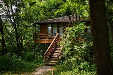 Фото номера Улучшенное шале Шале Porumbacu Treehouse г. Порумбаку-де-Сус 2