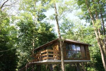Фото номера Шале с одной спальней Шале Porumbacu Treehouse г. Порумбаку-де-Сус 67