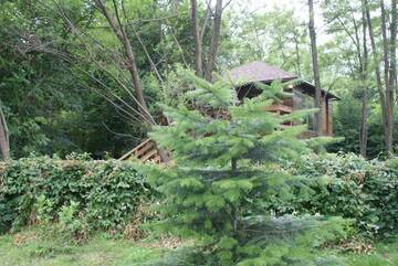 Фото номера Шале с одной спальней Шале Porumbacu Treehouse г. Порумбаку-де-Сус 75