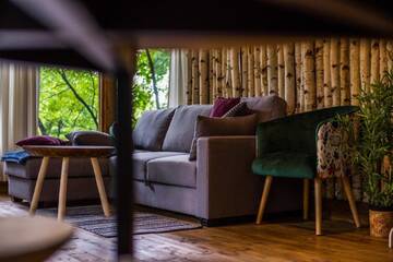 Фото номера Улучшенное шале Шале Porumbacu Treehouse г. Порумбаку-де-Сус 3